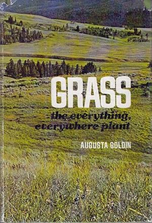 GRASS; The Everything, Everywhere Plant