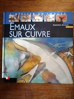 Emaux sur cuivre 2002 - BERNOUX Geneviève - Initiation Outils Outillage Matériaux Techniques