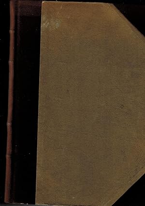 Imagen del vendedor de I pittori italiani dell'ottocento. Dizionario critico e documentario. a la venta por Libreria Gull