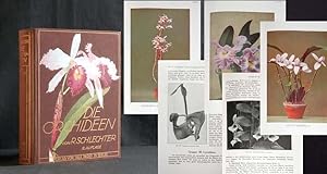 Bild des Verkufers fr Die Orchideen, ihre Beschreibung, Kultur und Zchtung. Handbuch fr Orchideenliebhaber, Zchter und Botaniker. zum Verkauf von Antiquariat Hilbert Kadgien