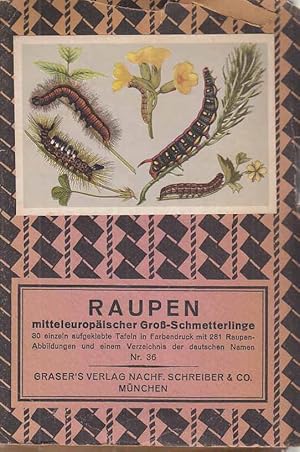 Raupen mitteleuropäischer Groß-Schmetterlinge. 30 einzeln aufgeklebte Tafeln in Farbendruck mit 2...