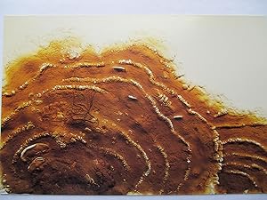 Immagine del venditore per Roxy Paine Dry Rot Ronald Feldman Fine Arts Exhibition invite postcard venduto da ANARTIST