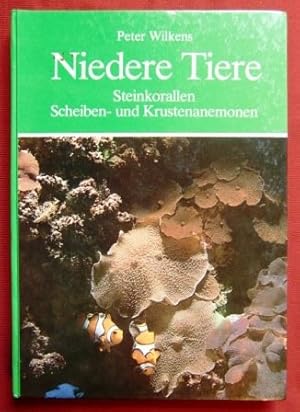 Steinkorallen, Scheiben- und Krustenanemonen. Niedere Tiere