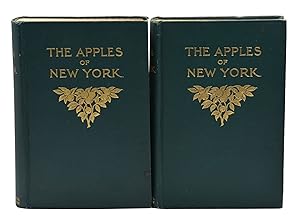 The Apples of New York: Beach, S. A. [Spencer Ambrose]