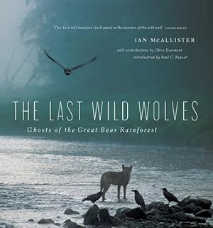 Image du vendeur pour Last Wild Wolves : Ghosts of the Great Bear Rainforest mis en vente par GreatBookPrices