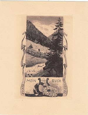 Seller image for Mein Buch Oskar Fr�hlich. Oben Gebirgslandschaft, unten Lyra und Rosenkranz. for sale by Antiquariat  Braun