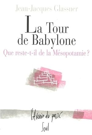 Bild des Verkufers fr La Tour de Babylone : Que reste-t-il de la Msopotamie zum Verkauf von librairie philippe arnaiz
