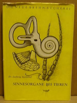 Imagen del vendedor de Sinnesorgane bei Tieren. (Neue Brehm-Bcherei 146) a la venta por Nicoline Thieme