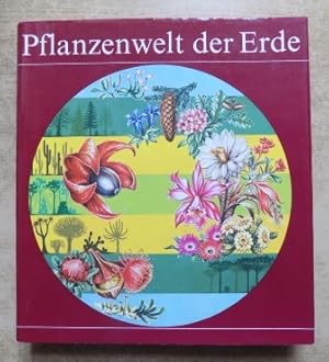 Pflanzenwelt der Erde.