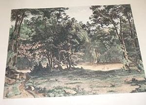 Two Deer in a Clearing in the Woods. Original etching.