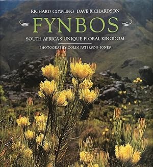 Fynbos: South Africa's unique floral kingdom