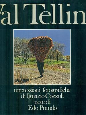 Seller image for Val Tellina for sale by Librodifaccia