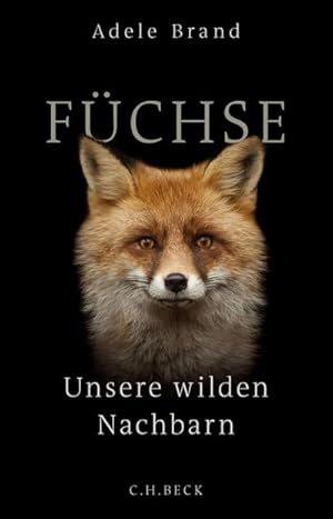 Immagine del venditore per Fchse : Unsere wilden Nachbarn venduto da AHA-BUCH GmbH