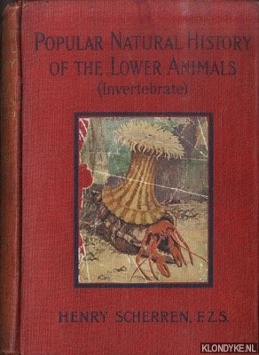 Bild des Verkufers fr Popular Natural History Of Lower Animals zum Verkauf von Klondyke