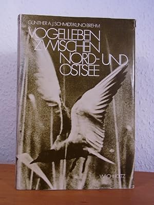 Seller image for Vogelleben zwischen Nord- und Ostsee. Eine Vogelkunde Schleswig-Holsteins for sale by Antiquariat Weber