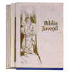 Image du vendeur pour BIBLIA JUVENIL. 2T. MOD. 2 mis en vente par AG Library