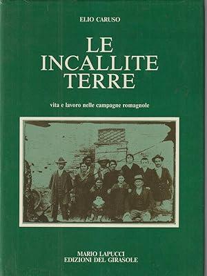 Bild des Verkufers fr Le incallite terre zum Verkauf von Librodifaccia