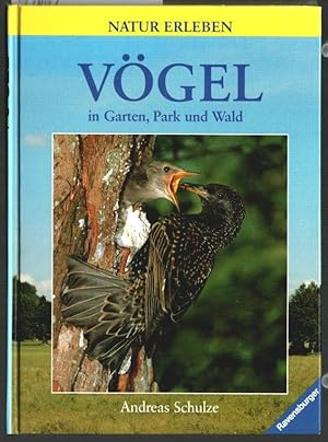 Seller image for Vgel in Garten, Park und Wald. Andreas Schulze. [Zeichn.: Fred Butzke] / Natur erleben. for sale by Ralf Bnschen