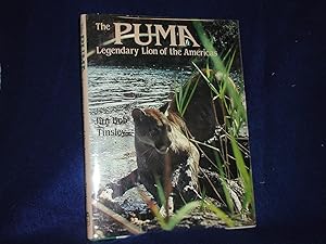 The Puma: Legendary Lion of the Americas