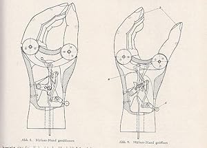 Lehrbuch für Bandagisten und Orthopädiemechaniker.