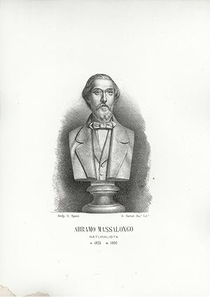 Bild des Verkufers fr Abramo Massalongo Naturalista n. 1825 m. 1860 zum Verkauf von Sergio Trippini