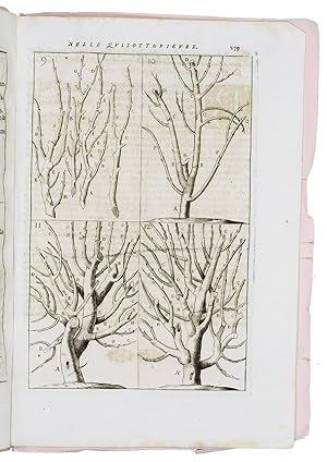 Bild des Verkufers fr Tratttato[!] del tagliar gl'alberi da frutto con la maniera di ben allevarli, tradotto dal Francese, . [Venice?, Girolamo Albrizzi?, 1698?]. Folio. With a drop-title on the first page, 12 numbered illustrations printed from 3 engraved plates, and a notice of another book on the last page. Modern pink paper wrappers. zum Verkauf von Antiquariaat FORUM BV