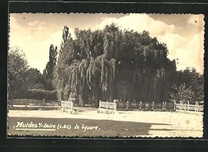 Carte postale Muides-sur-Loire, Le Square