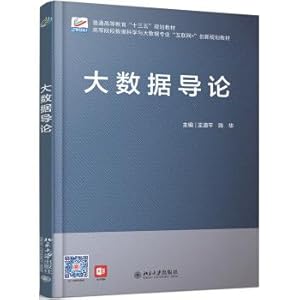 Immagine del venditore per Introduction to Big Data(Chinese Edition) venduto da liu xing