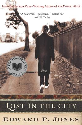 Seller image for Lost in the City (Paperback or Softback) for sale by BargainBookStores