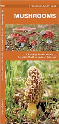 Seller image for Mushrooms: An Introduction to Familiar North American Species (Poster) for sale by BargainBookStores