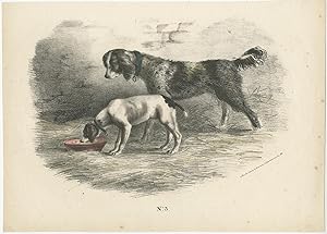 Antique Print of Hunting Dogs by Ligny & Dupaix (c.1820)