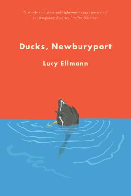 Seller image for Ducks, Newburyport (Paperback or Softback) for sale by BargainBookStores