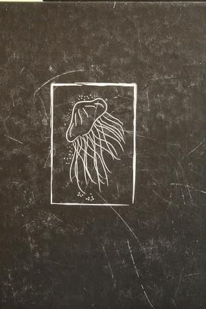 Immagine del venditore per Happyslapped by a Jellyfish: The words of Karl Pilkington venduto da Mad Hatter Bookstore