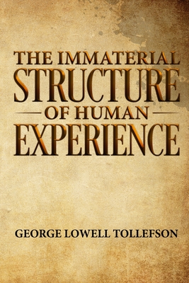 Seller image for The Immaterial Structure of Human Experience (Paperback or Softback) for sale by BargainBookStores