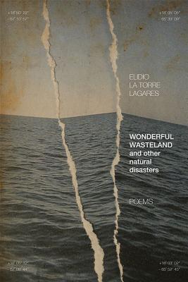 Imagen del vendedor de Wonderful Wasteland and other natural disasters: Poems (Paperback or Softback) a la venta por BargainBookStores