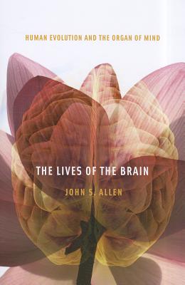 Image du vendeur pour Lives of the Brain: Human Evolution and the Organ of Mind (Paperback or Softback) mis en vente par BargainBookStores