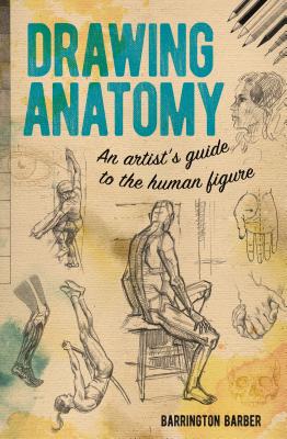 Bild des Verkufers fr Drawing Anatomy: An Artist's Guide to the Human Figure (Paperback or Softback) zum Verkauf von BargainBookStores