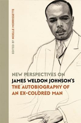 Seller image for New Perspectives on James Weldon Johnson's the Autobiography of an Ex-Colored Man (Paperback or Softback) for sale by BargainBookStores