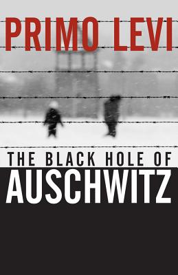 Imagen del vendedor de The Black Hole of Auschwitz (Paperback or Softback) a la venta por BargainBookStores