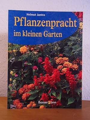 Bild des Verkufers fr Pflanzenpracht im kleinen Garten zum Verkauf von Antiquariat Weber