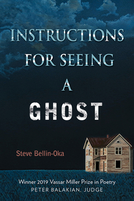 Immagine del venditore per Instructions for Seeing a Ghost (Paperback or Softback) venduto da BargainBookStores