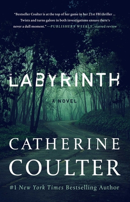Immagine del venditore per Labyrinth (Paperback or Softback) venduto da BargainBookStores