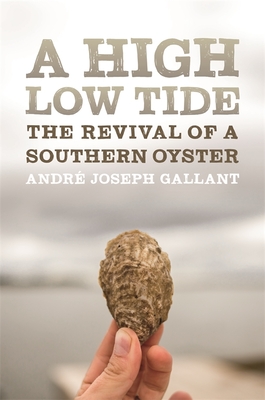Seller image for A High Low Tide: The Revival of a Southern Oyster (Paperback or Softback) for sale by BargainBookStores