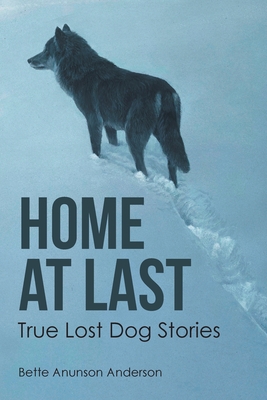 Seller image for Home at last: True Lost Dog Stories (Paperback or Softback) for sale by BargainBookStores