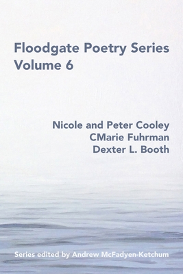 Seller image for Floodgate Series Volume 6 (Paperback or Softback) for sale by BargainBookStores