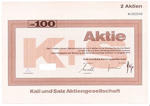 Aktie über DM 100.