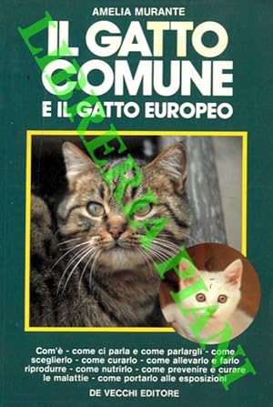 Bild des Verkufers fr Il gatto comune e il gatto europeo. zum Verkauf von Libreria Piani