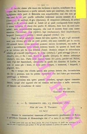 Il terremoto del 23 febbraio 1887.