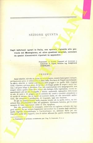 Degli infortuni agrari in Italia, con speciale riguard alle Provincie del Mezzogiorno ed altre qu...