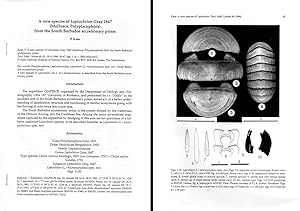 Imagen del vendedor de A new species of Leptochiton Gray 1847 from the South Barbados accretionary prism. In 8vo, offp., pp. 3 with 10 figs. a la venta por NATURAMA